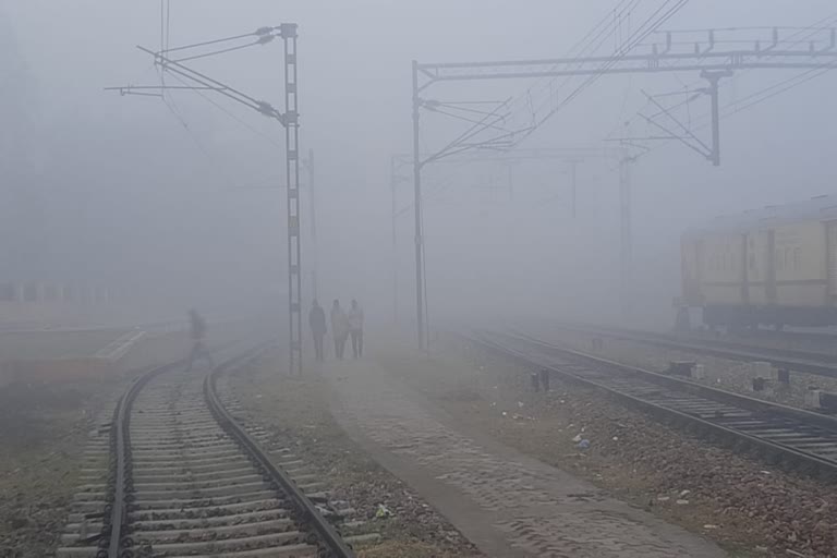 fog-in-rewari-weather-update