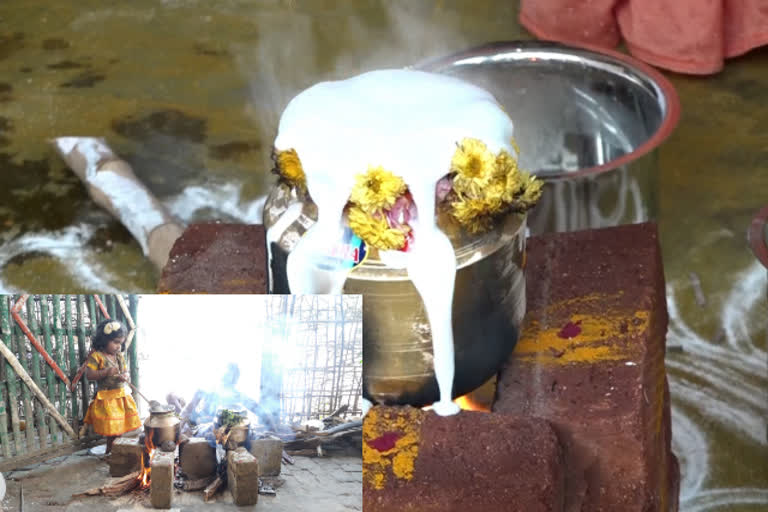 எளிமையான முறையில் பொங்கல் விழா கொண்டாட்டம்...