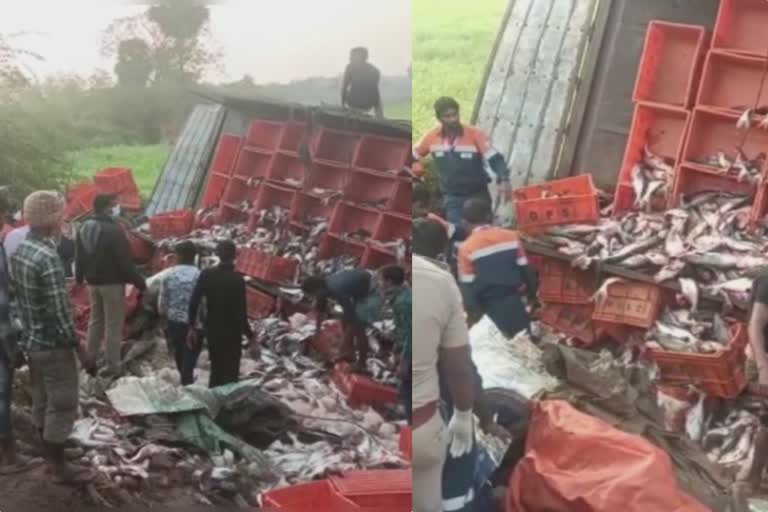 FISH LOAD LORRY OVERTURNED IN THADEPALLIGUDEM  LORRY OVERTURNED IN ANDHRA PRADESH  lorry accident in andhra pradesh  ആന്ധ്രാപ്രദേശിൽ മീൻ ലോറി മറിഞ്ഞ് അപകടം  ലോറി അപകടം