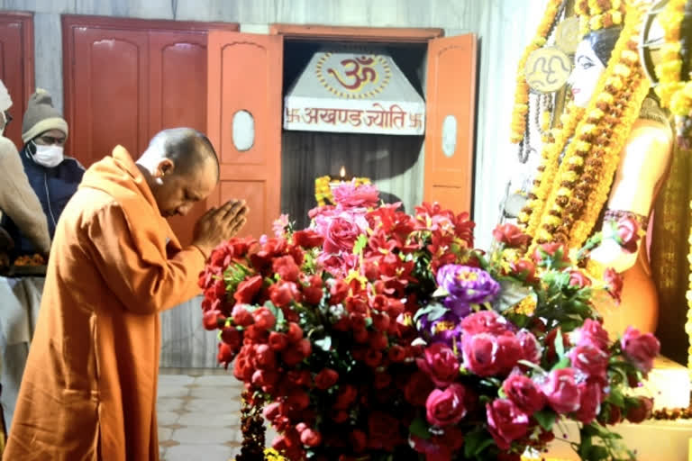 UP CM Yogi Adityanath offers 'khichdi' at Gorakhnath temple on Makar Sankranti