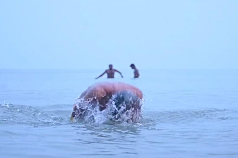 Makarsankranti snan in Gangasagar