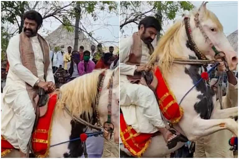 Balakrishna Horse Ride