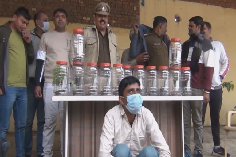 Arms dealer arrested in Palwal