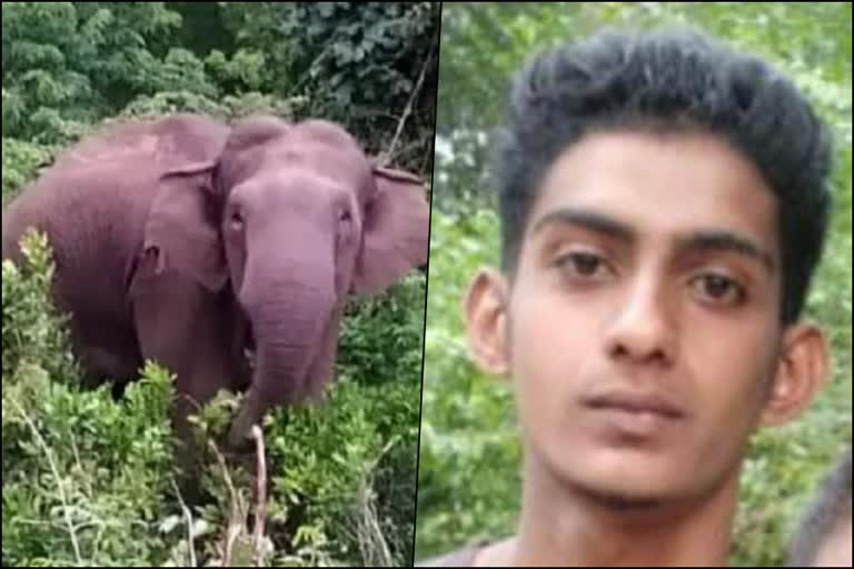 young-man-died-in-wild-elephant-attack-at-kodagu