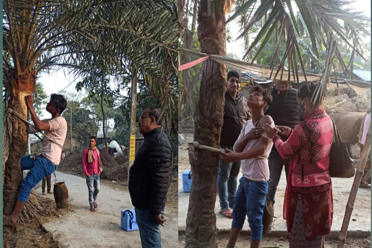 vaccine after coming down from tree in Muzaffarpur