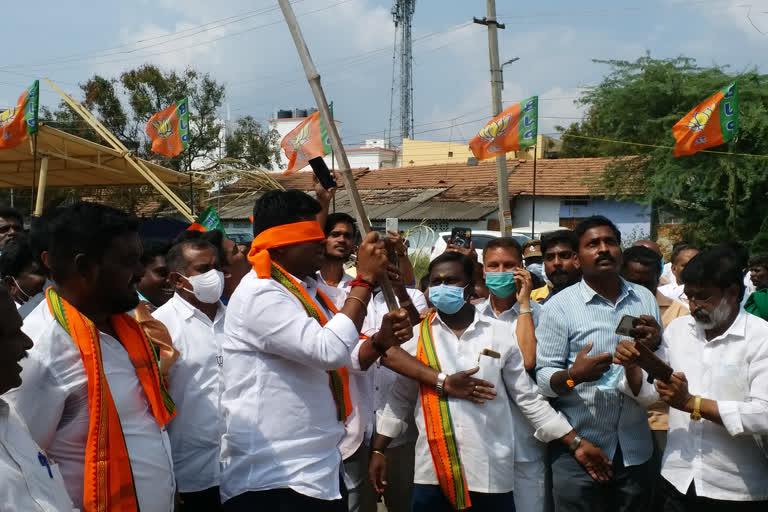 bjp pongal celebration at coimbatore