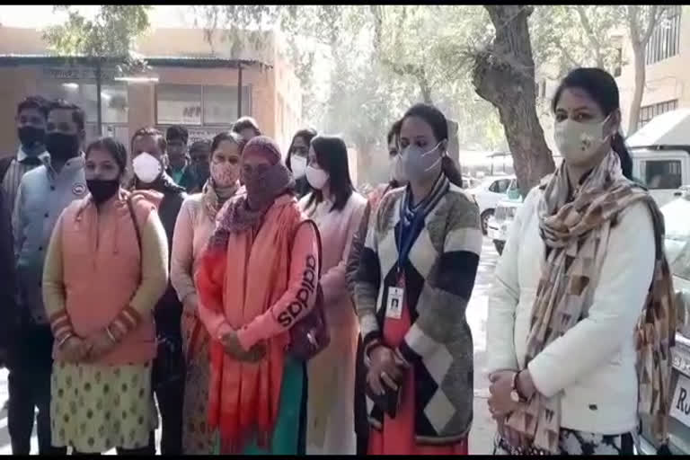 Veterinarians Strike In Jodhpur