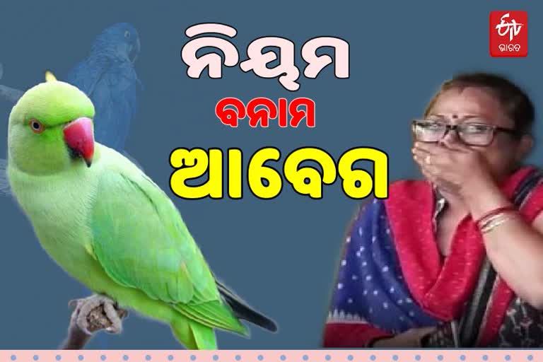 କୋକୋକୁ ନେଲା ବନ ବିଭାଗ, ଲୁହରେ ଭିଜିଲା ମାଲିକାଣୀଙ୍କ ପଣତ