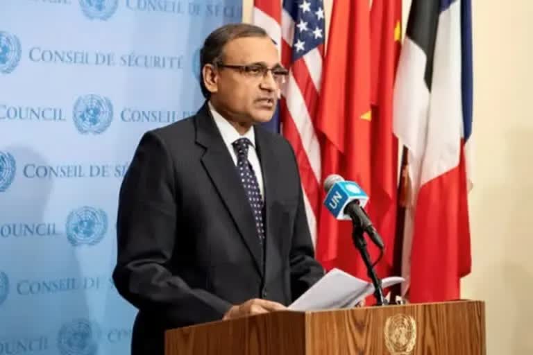 Crime syndicate responsible for 1993 Mumbai blasts enjoying 5-star hospitality in Pakistan: Indian envoy at UN