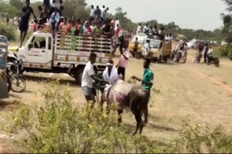 manjuvirattu