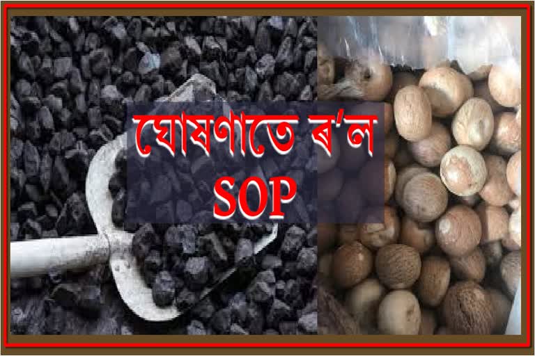 Illegal coal smuggling in Assam