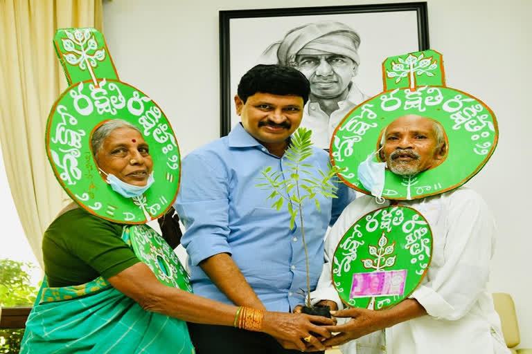 Vanajeevi Ramaiah: ఎంపీ సంతోష్​ కుమార్​ను కలిసిన వనజీవి రామయ్య దంపతులు