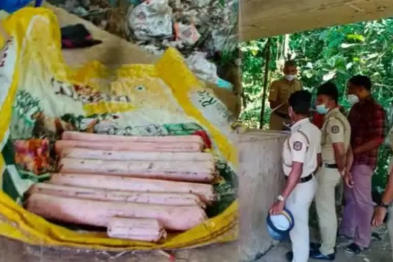 Explosives found in Sabarimala Thiruvabharanam procession route