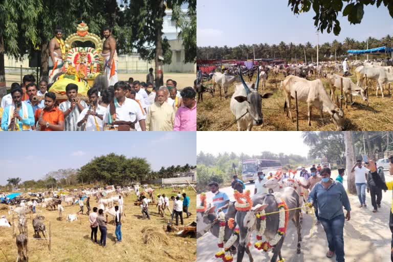 ಕೆಂಗಲ್​ ಆಂಜನೇಯಸ್ವಾಮಿ ದನಗಳ ಜಾತ್ರೆ