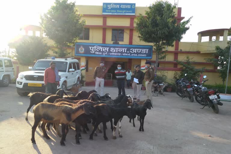 Goat thief arrested in Durg