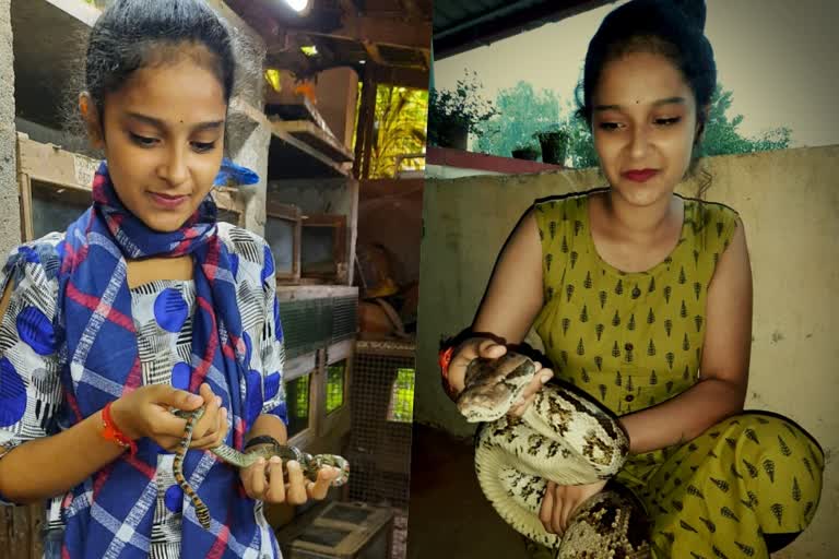 Sharanya Bhat Snake Catching Tricks  Sharanya Bhat proves talents in snake catching  വിഷപാമ്പുകളെ പിടികൂടി കര്‍ണാടകയില്‍ ശരണ്യ ഭട്ട്  മംഗളൂരു ഇന്നത്തെ വാര്‍ത്ത  നൂറിലധികം പാമ്പുകളെ പിടികൂടി കര്‍ണാടകയിലെ ശരണ്യ ഭട്ട്