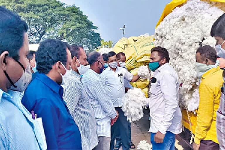 Record Price for Cotton in Telangana