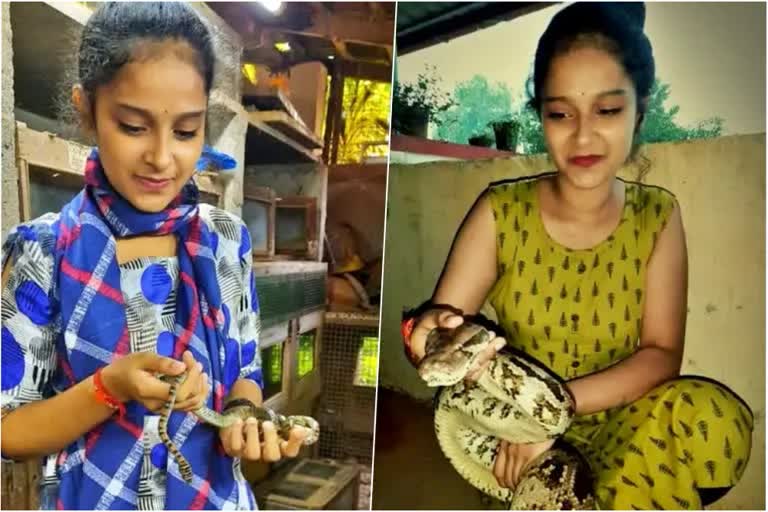 Karnataka girl catches 100 venomous snakes