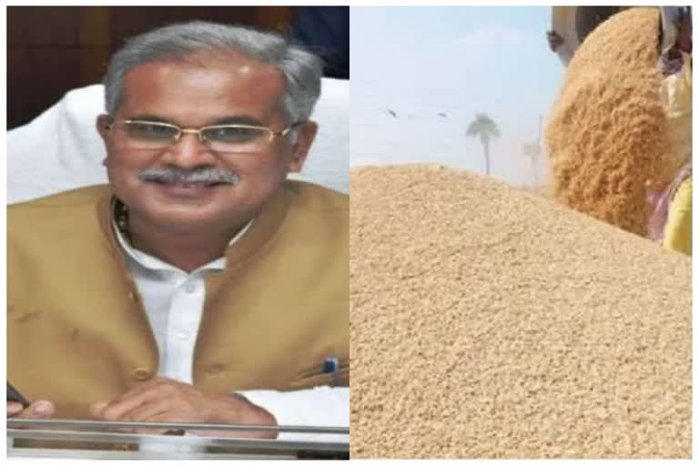 Paddy procurement extended one week in Chhattisgarh