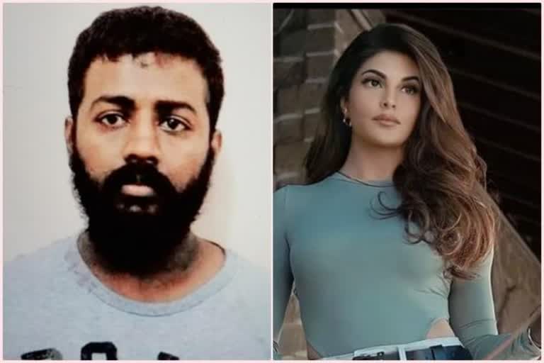 Conman Sukesh Chadrashekar's money laundering case: Respite for Jacqueline Fernandez, Nora Fatehi