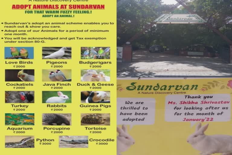 Ahmedabad Sundarvan Animal Adoption : અનોખી 'પ્રાણી દત્તક' પહેલ, થોડીક રકમ બચાવશે પ્રાણીનું જીવન