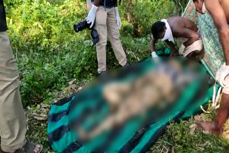 Unknown deadbody found in karthikappally  deadbody found while digging  ചതുപ്പിൽ അജ്ഞാത മൃതദേഹം  അജ്ഞാത മൃതദേഹം കണ്ടെത്തി