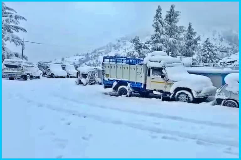 snowfall in Sirmaur