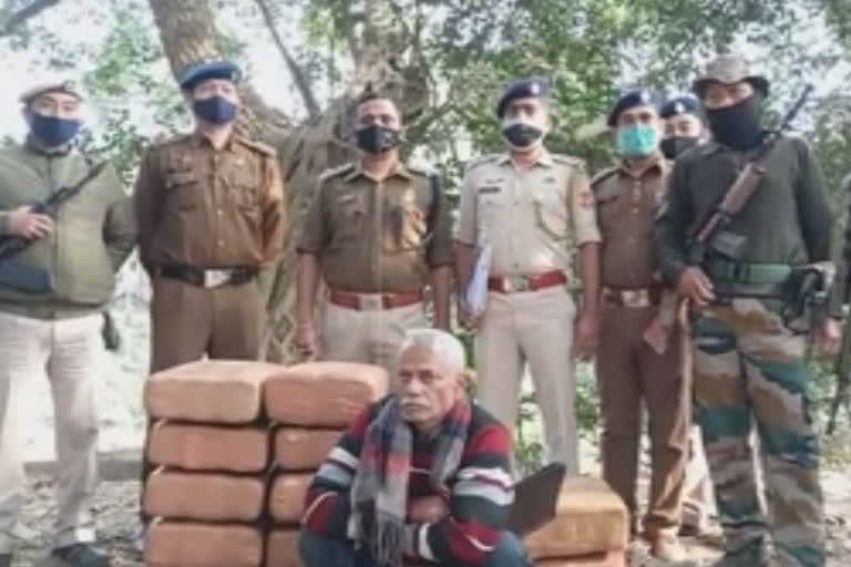 Cannabis of more than Rs 10 lakh seized, one held in Tripura