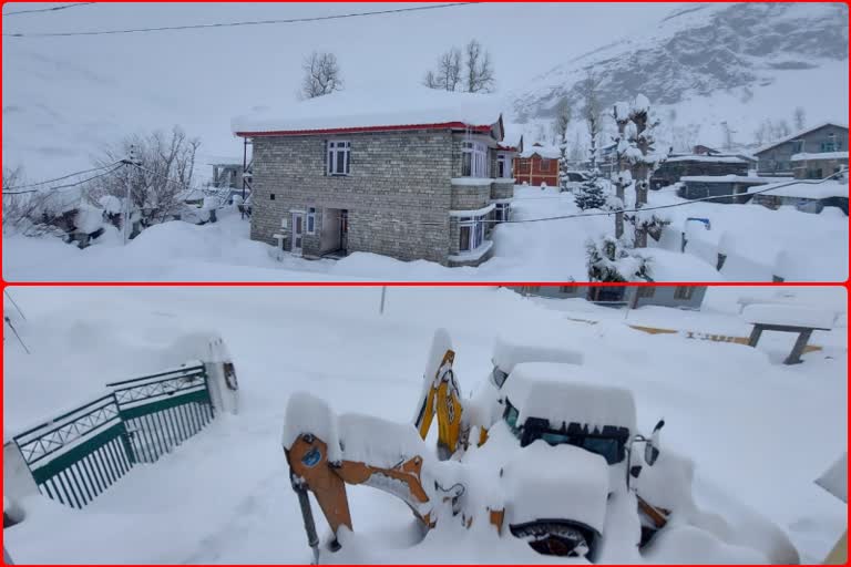 Snowfall continues in Lahaul Valley