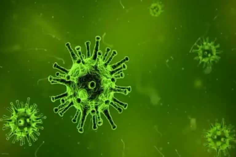 Entry of sub variant of Omicron in Gujarat, 41 cases reported In A Single Day