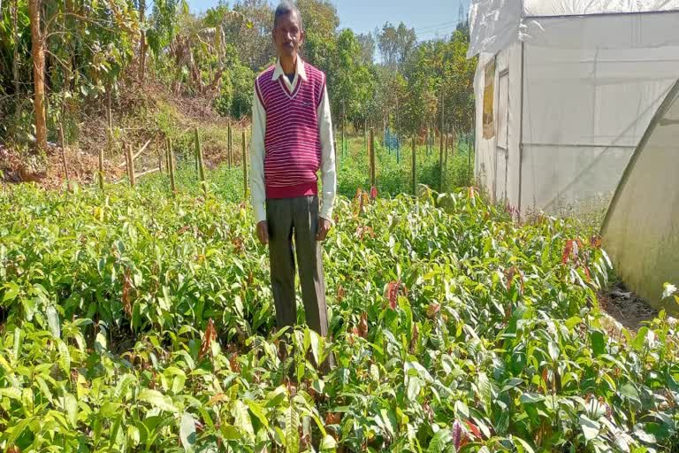 Didi Bagiya Scheme in Jharkhand