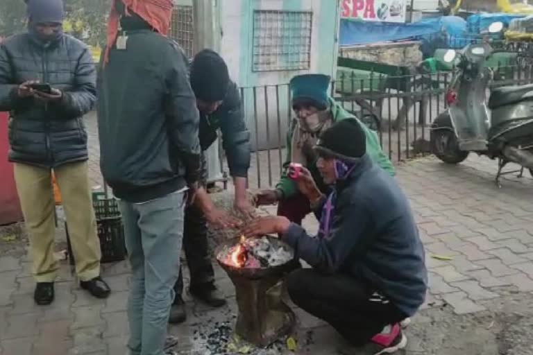 Cold In Mount Abu: માઉન્ટ આબુમાં માઇનસ-4 ડીગ્રી ઠંડી, બનાસકાંઠા પણ ઠંડીમાં ઠુંઠવાયું