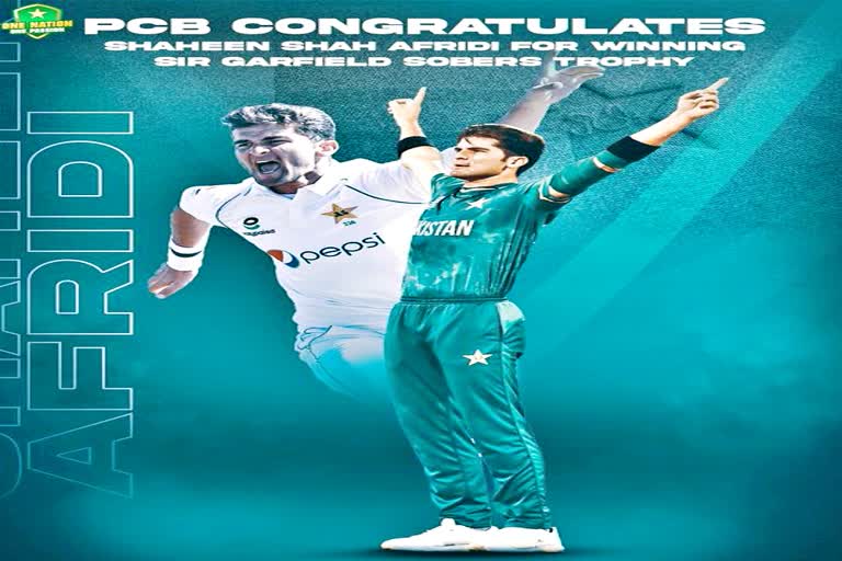 ICC Cricketer of the Year  bowler Shaheen Afridi  ICC  Who is Shaheen Afridi  आईसीसी क्रिकेटर ऑफ द ईयर  शाहीन अफरीदी  Cricket News  क्रिकेट न्यूज