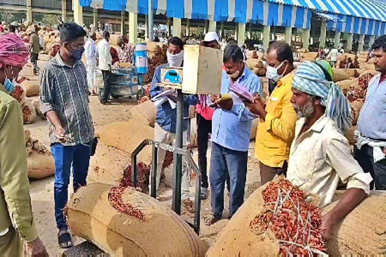 Mirchi Purchase in Enumamula Market