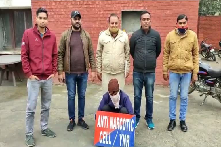 yamunanagar drug peddler arrest