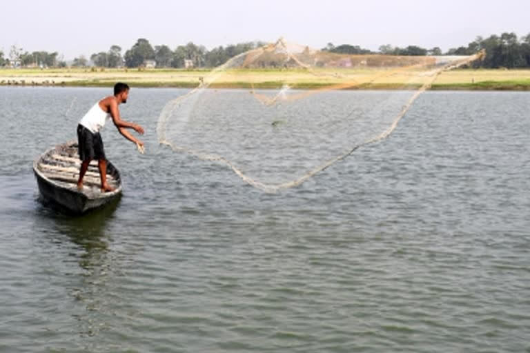 Sri Lanka court orders release of 56 Indian fishermen