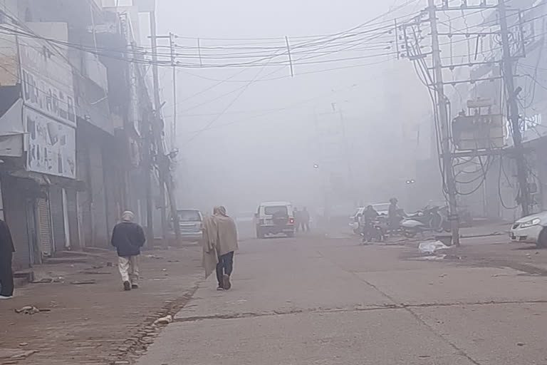 Cold And Fog In Haryana