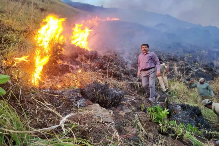 forest fire engulfs in charmadi ghat