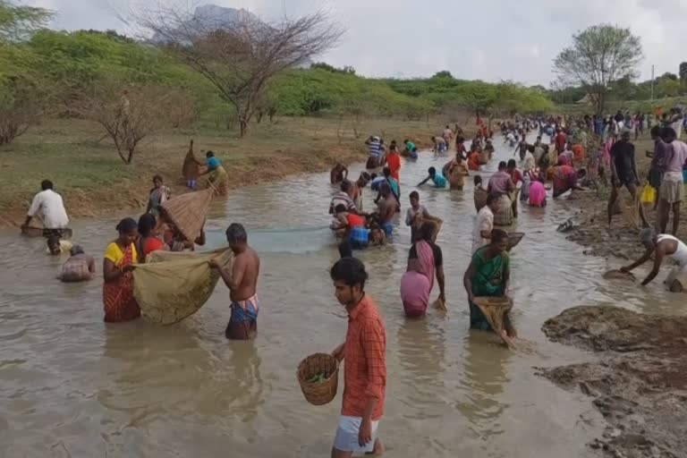 மீன்பிடி திருவிழா