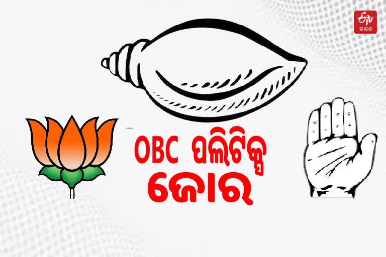 OBC Politics