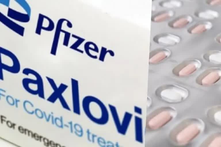 pfizers Paxlovoid pill