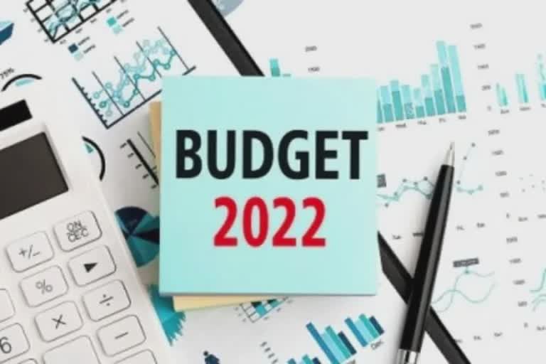 Union Budget 2022 Live on App: મોબાઈલ પર લાઈવ જોઈ શકાશે બજેટ 2022, સંસદની કાર્યવાહી બતાવવા માટે લોન્ચ થયું 'ડિજિટલ સંસદ' એપ