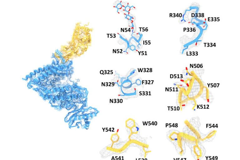 Scientists warn of NeoCov