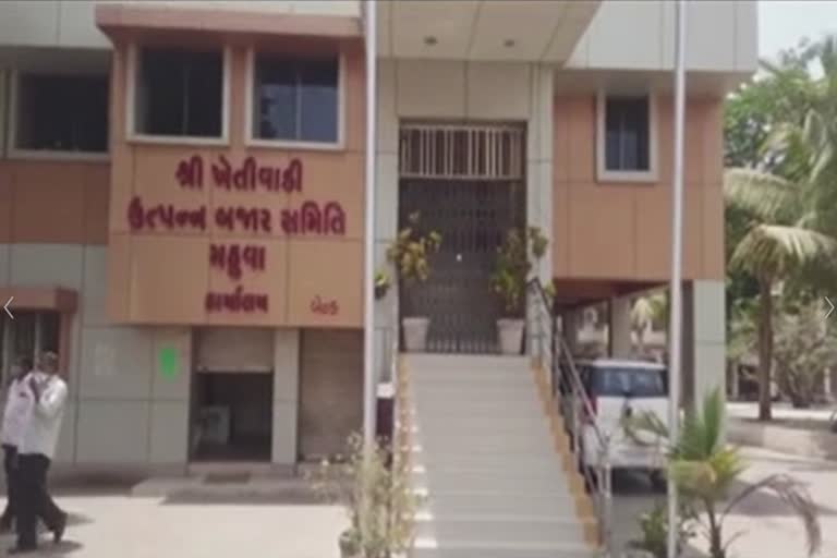 Election of Mahuva Marketing Yard: ભાવનગરના મહુવા માર્કેટિંગ યાર્ડની ચૂંટણી 4 ફેબ્રુઆરી યોજાશે