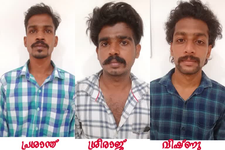 Kollam tourist attack incident  three arrested in tourists attack incident  കൊല്ലത്ത് വിനോദ സഞ്ചാരികളെ അക്രമിച്ച സംഭവം