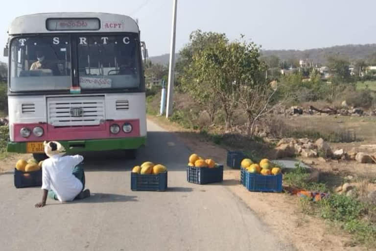 a farmer protesting by putting papaya on the road
