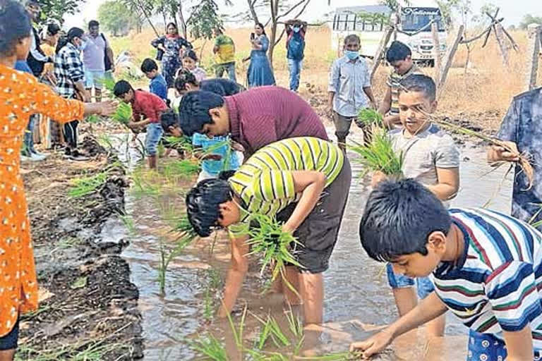 IT employees visit farm schools