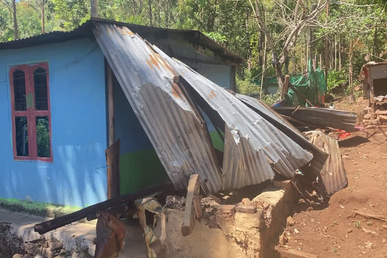 ചിന്നക്കനാലില്‍ കാട്ടാന ആക്രമണം  ഒറ്റയാൻ ആക്രമണത്തിൽ ഒരാൾക്ക് പരിക്കേറ്റു  Wild elephant attack  Wild elephant attack idukki chinnakkanal