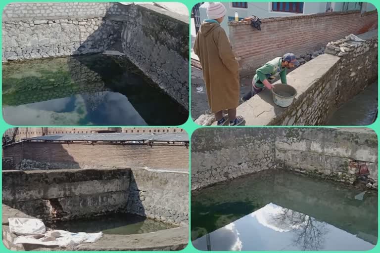 Restoration of Pinz Springs in Tral