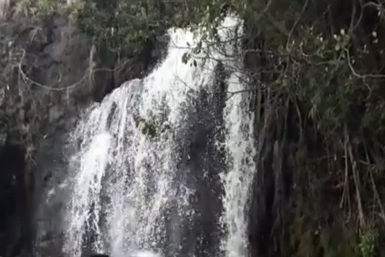 tourists are allowed to go agasthiyar falls